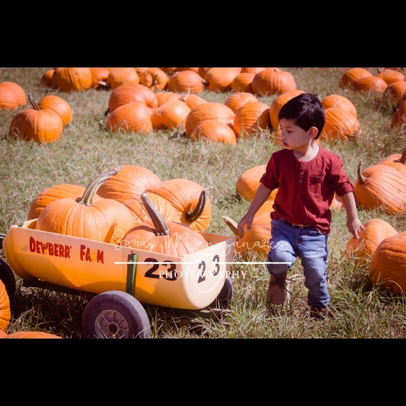 Toddler shirt. SOLD - Picture 2 of 4